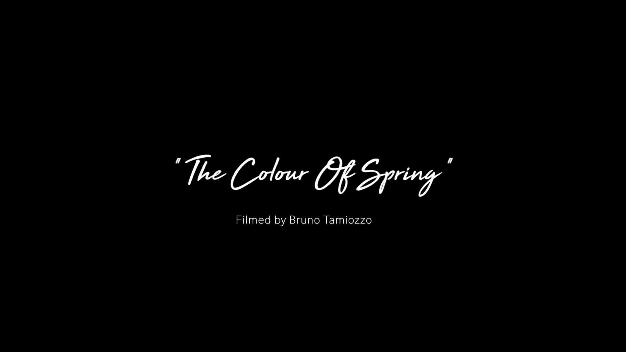 THE COLOUR OF SPRING - Tribute to Mark Hollis